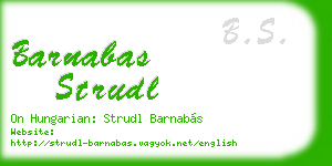 barnabas strudl business card